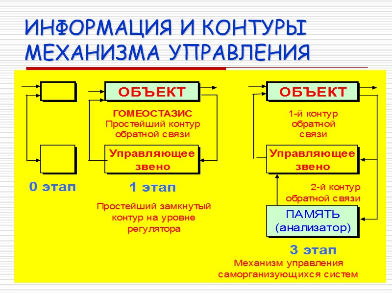ИНФОРМАЦИЯ И КОНТУРЫ МЕХАНИЗМА УПРАВЛЕНИЯ